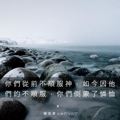 Picture 03 - 羅 馬 書 11:30 CUVT - 你 們 從 前 不 順 服 神 ， 如 今 因 - Bible Verse Picture