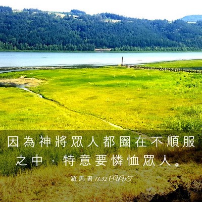 Picture 03 - 羅 馬 書 11:32 CUVT - 因 為 神 將 眾 人 都 圈 在 不 順 服 - Bible Verse Picture