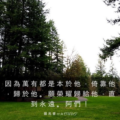 Picture 03 - 羅 馬 書 11:36 CUVT - 因 為 萬 有 都 是 本 於 他 ， 倚 靠 - Bible Verse Picture