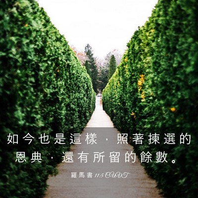 Picture 03 - 羅 馬 書 11:5 CUVT - 如 今 也 是 這 樣 ， 照 著 揀 選 的 - Bible Verse Picture