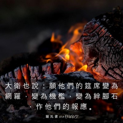 Picture 03 - 羅 馬 書 11:9 CUVT - 大 衛 也 說 ： 願 他 們 的 筵 席 變 - Bible Verse Picture