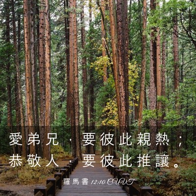 Picture 03 - 羅 馬 書 12:10 CUVT - 愛 弟 兄 ， 要 彼 此 親 熱 ； 恭 敬 - Bible Verse Picture