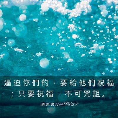 Picture 03 - 羅 馬 書 12:14 CUVT - 逼 迫 你 們 的 ， 要 給 他 們 祝 福 - Bible Verse Picture