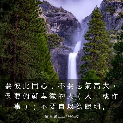 Picture 03 - 羅 馬 書 12:16 CUVT - 要 彼 此 同 心 ； 不 要 志 氣 高 大 - Bible Verse Picture