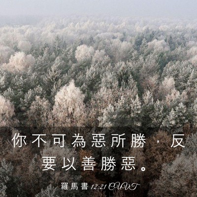 Picture 03 - 羅 馬 書 12:21 CUVT - 你 不 可 為 惡 所 勝 ， 反 要 以 善 - Bible Verse Picture