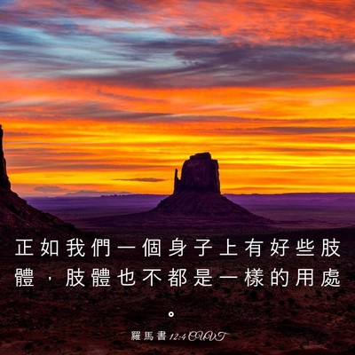 Picture 03 - 羅 馬 書 12:4 CUVT - 正 如 我 們 一 個 身 子 上 有 好 些 - Bible Verse Picture