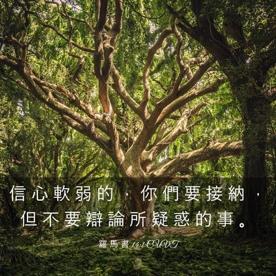 Picture 03 - 羅 馬 書 14:1 CUVT - 信 心 軟 弱 的 ， 你 們 要 接 納 ， - Bible Verse Picture
