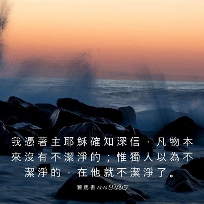 Picture 03 - 羅 馬 書 14:14 CUVT - 我 憑 著 主 耶 穌 確 知 深 信 ， 凡 - Bible Verse Picture