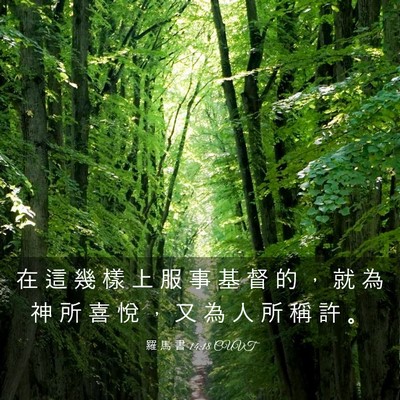Picture 03 - 羅 馬 書 14:18 CUVT - 在 這 幾 樣 上 服 事 基 督 的 ， 就 - Bible Verse Picture