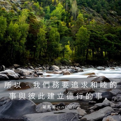 Picture 03 - 羅 馬 書 14:19 CUVT - 所 以 ， 我 們 務 要 追 求 和 睦 的 - Bible Verse Picture