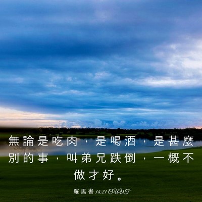 Picture 03 - 羅 馬 書 14:21 CUVT - 無 論 是 吃 肉 ， 是 喝 酒 ， 是 甚 - Bible Verse Picture