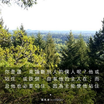 Picture 03 - 羅 馬 書 14:4 CUVT - 你 是 誰 ， 竟 論 斷 別 人 的 僕 人 - Bible Verse Picture