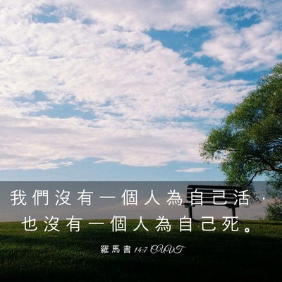 Picture 03 - 羅 馬 書 14:7 CUVT - 我 們 沒 有 一 個 人 為 自 己 活 ， - Bible Verse Picture