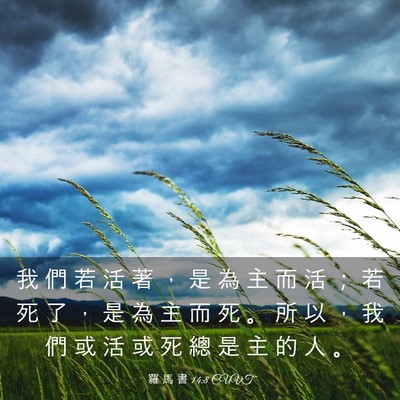 Picture 03 - 羅 馬 書 14:8 CUVT - 我 們 若 活 著 ， 是 為 主 而 活 ； - Bible Verse Picture