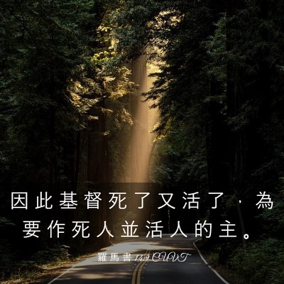 Picture 03 - 羅 馬 書 14:9 CUVT - 因 此 基 督 死 了 又 活 了 ， 為 要 - Bible Verse Picture