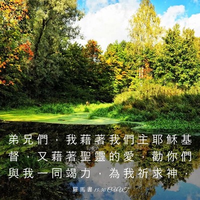 Picture 03 - 羅 馬 書 15:30 CUVT - 弟 兄 們 ， 我 藉 著 我 們 主 耶 穌 - Bible Verse Picture