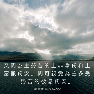 Picture 03 - 羅 馬 書 16:12 CUVT - 又 問 為 主 勞 苦 的 土 非 拿 氏 和 - Bible Verse Picture