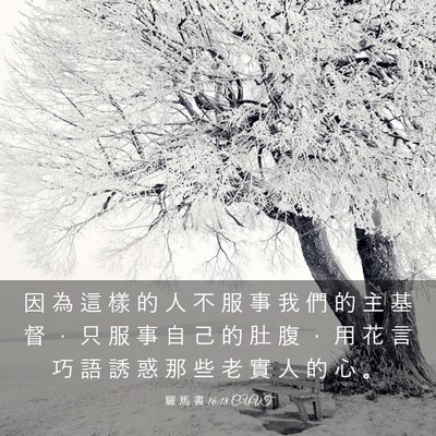 Picture 03 - 羅 馬 書 16:18 CUVT - 因 為 這 樣 的 人 不 服 事 我 們 的 - Bible Verse Picture