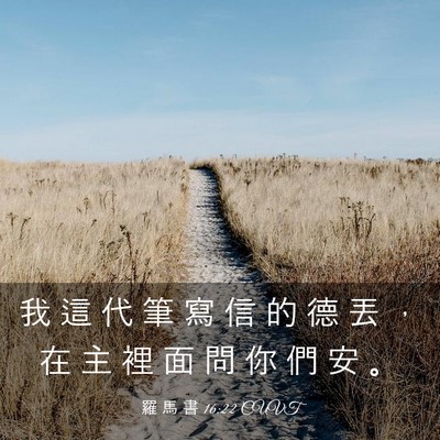 Picture 03 - 羅 馬 書 16:22 CUVT - 我 這 代 筆 寫 信 的 德 丟 ， 在 主 - Bible Verse Picture