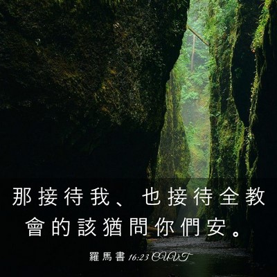 Picture 03 - 羅 馬 書 16:23 CUVT - 那 接 待 我 、 也 接 待 全 教 會 的 - Bible Verse Picture