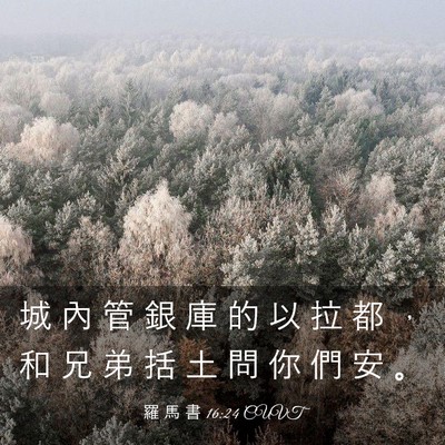 Picture 03 - 羅 馬 書 16:24 CUVT - 城 內 管 銀 庫 的 以 拉 都 ， 和 兄 - Bible Verse Picture