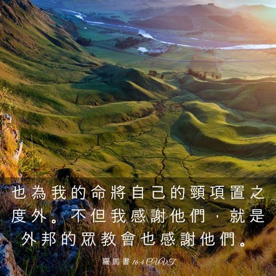 Picture 03 - 羅 馬 書 16:4 CUVT - 也 為 我 的 命 將 自 己 的 頸 項 置 - Bible Verse Picture
