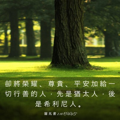 Picture 03 - 羅 馬 書 2:10 CUVT - 卻 將 榮 耀 、 尊 貴 、 平 安 加 給 - Bible Verse Picture