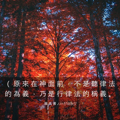 Picture 03 - 羅 馬 書 2:13 CUVT - （ 原 來 在 神 面 前 ， 不 是 聽 律 - Bible Verse Picture