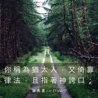 Picture 03 - 羅 馬 書 2:17 CUVT - 你 稱 為 猶 太 人 ， 又 倚 靠 律 法 - Bible Verse Picture