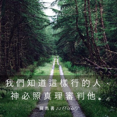 Picture 03 - 羅 馬 書 2:2 CUVT - 我 們 知 道 這 樣 行 的 人 ， 神 必 - Bible Verse Picture