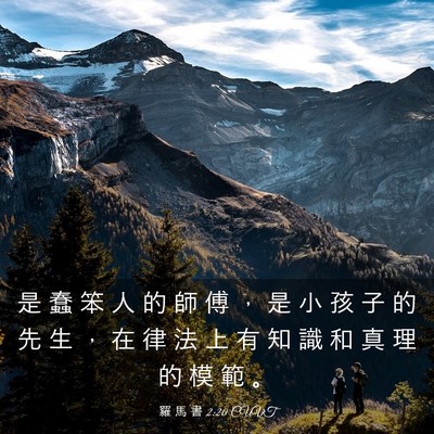 Picture 03 - 羅 馬 書 2:20 CUVT - 是 蠢 笨 人 的 師 傅 ， 是 小 孩 子 - Bible Verse Picture