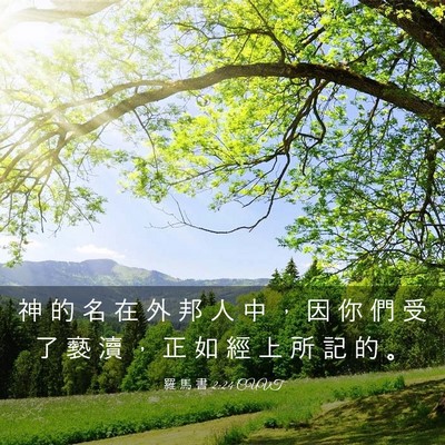 Picture 03 - 羅 馬 書 2:24 CUVT - 神 的 名 在 外 邦 人 中 ， 因 你 們 - Bible Verse Picture