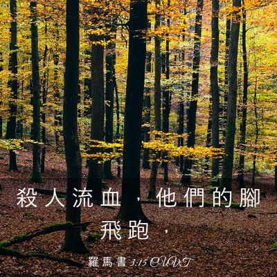 Picture 03 - 羅 馬 書 3:15 CUVT - 殺 人 流 血 ， 他 們 的 腳 飛 跑 - Bible Verse Picture