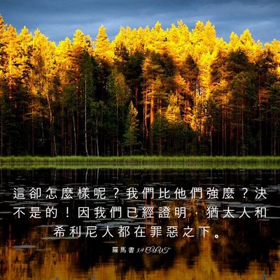 Picture 03 - 羅 馬 書 3:9 CUVT - 這 卻 怎 麼 樣 呢 ？ 我 們 比 他 們 - Bible Verse Picture