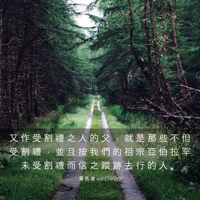 Picture 03 - 羅 馬 書 4:12 CUVT - 又 作 受 割 禮 之 人 的 父 ， 就 是 - Bible Verse Picture