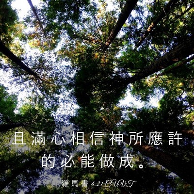 Picture 03 - 羅 馬 書 4:21 CUVT - 且 滿 心 相 信 神 所 應 許 的 必 能 - Bible Verse Picture