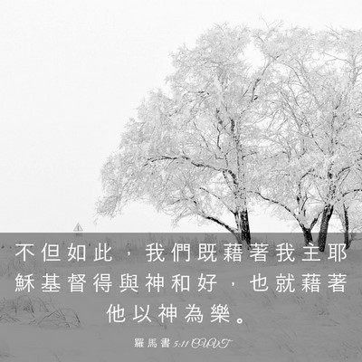 Picture 03 - 羅 馬 書 5:11 CUVT - 不 但 如 此 ， 我 們 既 藉 著 我 主 - Bible Verse Picture