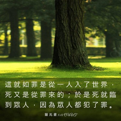 Picture 03 - 羅 馬 書 5:12 CUVT - 這 就 如 罪 是 從 一 人 入 了 世 界 - Bible Verse Picture