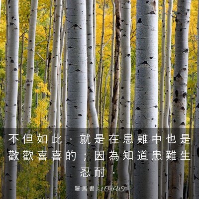 Picture 03 - 羅 馬 書 5:3 CUVT - 不 但 如 此 ， 就 是 在 患 難 中 也 - Bible Verse Picture