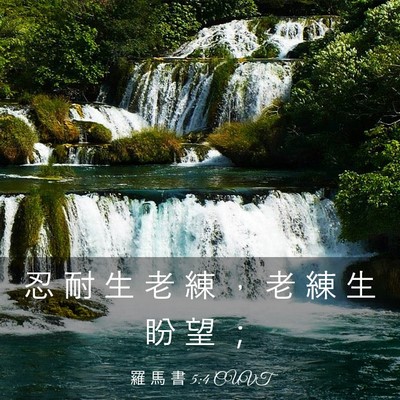 Picture 03 - 羅 馬 書 5:4 CUVT - 忍 耐 生 老 練 ， 老 練 生 盼 望 - Bible Verse Picture