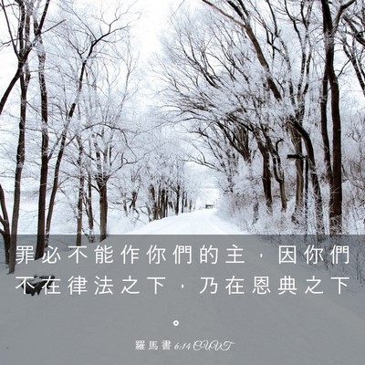 Picture 03 - 羅 馬 書 6:14 CUVT - 罪 必 不 能 作 你 們 的 主 ， 因 你 - Bible Verse Picture