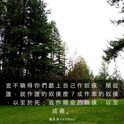 Picture 03 - 羅 馬 書 6:16 CUVT - 豈 不 曉 得 你 們 獻 上 自 己 作 奴 - Bible Verse Picture