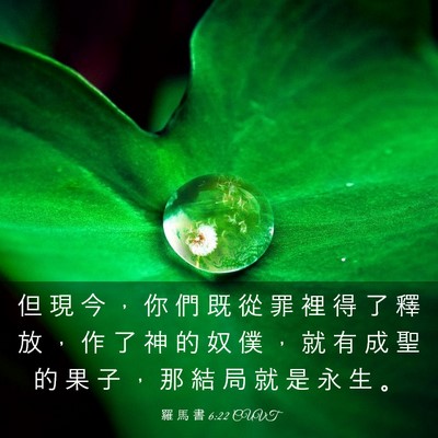 Picture 03 - 羅 馬 書 6:22 CUVT - 但 現 今 ， 你 們 既 從 罪 裡 得 了 - Bible Verse Picture