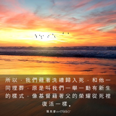 Picture 03 - 羅 馬 書 6:4 CUVT - 所 以 ， 我 們 藉 著 洗 禮 歸 入 死 - Bible Verse Picture