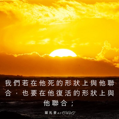 Picture 03 - 羅 馬 書 6:5 CUVT - 我 們 若 在 他 死 的 形 狀 上 與 他 - Bible Verse Picture