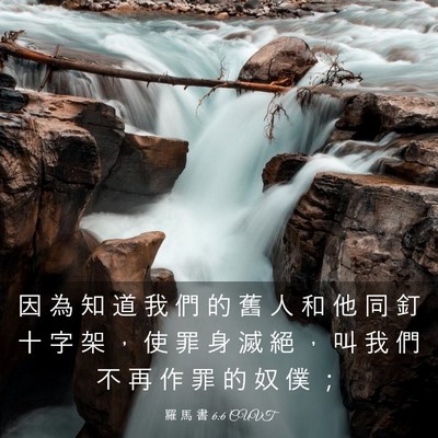 Picture 03 - 羅 馬 書 6:6 CUVT - 因 為 知 道 我 們 的 舊 人 和 他 同 - Bible Verse Picture