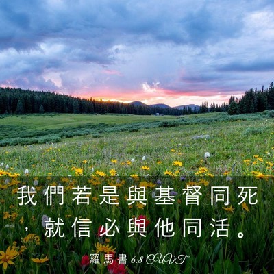 Picture 03 - 羅 馬 書 6:8 CUVT - 我 們 若 是 與 基 督 同 死 ， 就 信 - Bible Verse Picture