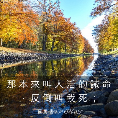 Picture 03 - 羅 馬 書 7:10 CUVT - 那 本 來 叫 人 活 的 誡 命 ， 反 倒 - Bible Verse Picture