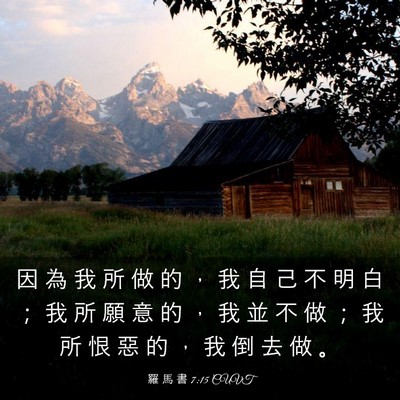 Picture 03 - 羅 馬 書 7:15 CUVT - 因 為 我 所 做 的 ， 我 自 己 不 明 - Bible Verse Picture