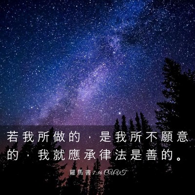 Picture 03 - 羅 馬 書 7:16 CUVT - 若 我 所 做 的 ， 是 我 所 不 願 意 - Bible Verse Picture